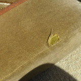 13 P1090147 (Medium)