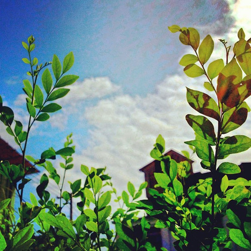 20120521 010620 K3qA KM4Vn 01.jpg