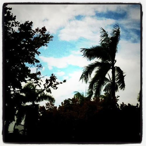 20101106 040658 Kcmu 01.jpg