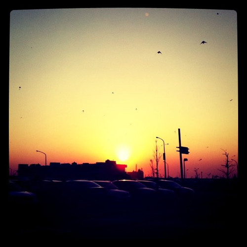 20101127 084807 YRB 01.jpg