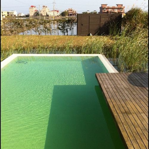 20110206 004238 Ba5Pq 01.jpg