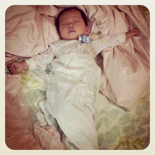 20101028 154740 F0Ak 01.jpg