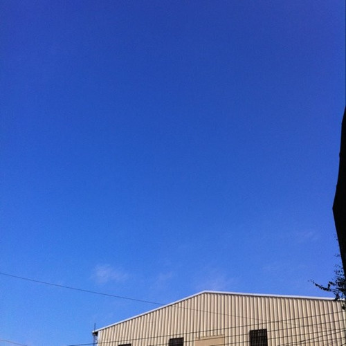 20101028 065824 FqzB 01.jpg