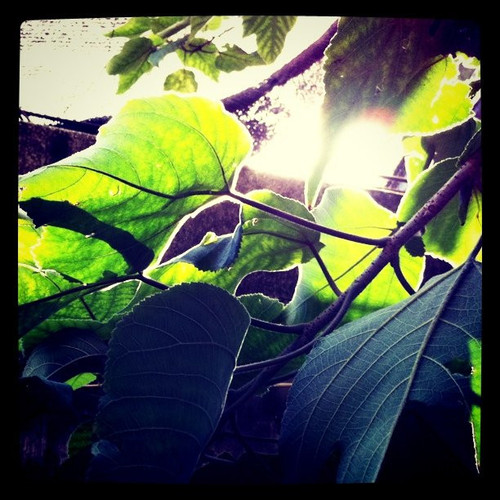 20101028 065949 Fq0Z 01.jpg