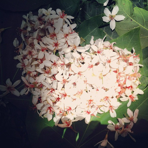 20120501 045237 KEkA67M4Wk 01.jpg