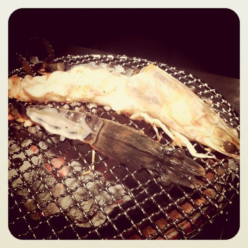 20101016 110304 BsvQ 01.jpg