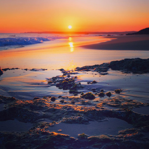 20210206 105006 CK8rDu1nKCK 01.jpg