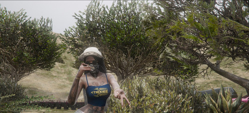 FiveM GTAProcess X0nAJLSu4n.jpg