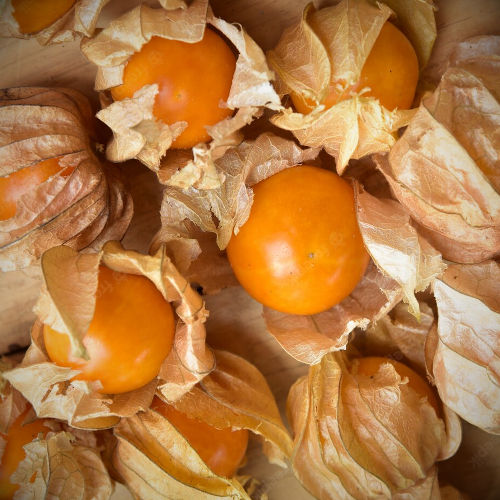 orange gooseberry 1.jpg