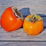 persimmon2.png