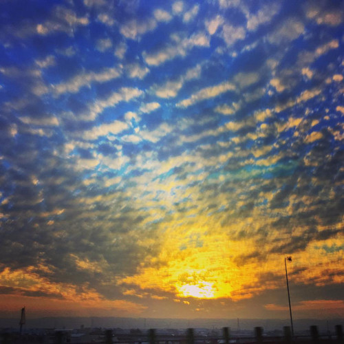 20151212 085547 L5I3Ks4R5 01.jpg