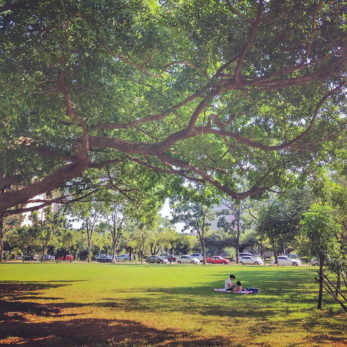 20151107 060928 9xeSJdM4Vo 01.jpg