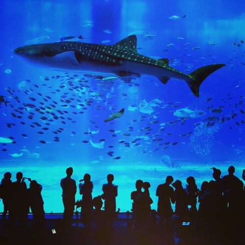 20160609 033256 BGazRs3s4Vc 01.jpg