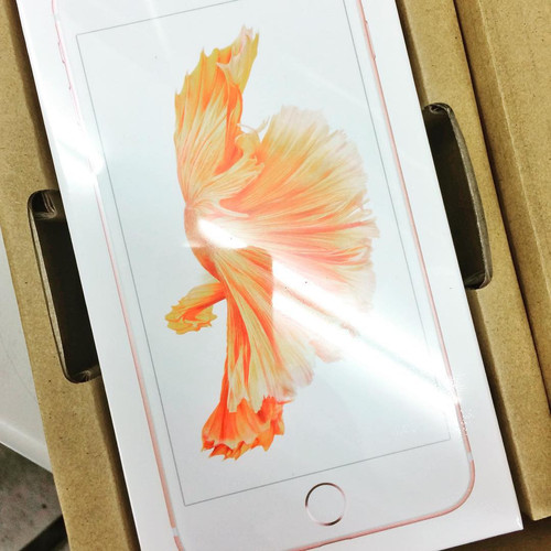 20151013 023457 8wt3Eus4Wj 01.jpg