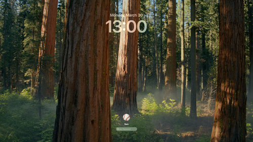 test s.png