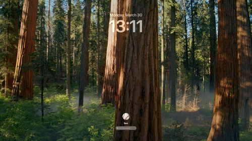 wechat web s.png