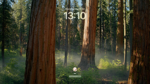 safari s.png