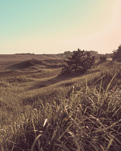 20240821 112721 C 7iXFEyZ6p 03.jpg