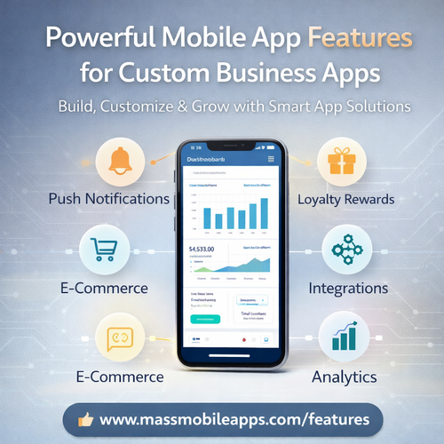 Custom business app dashboard features.png