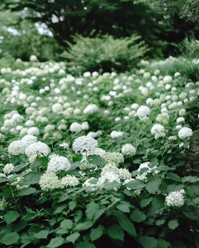 20240712 030500 C9TpFGPS3gh 04.jpg