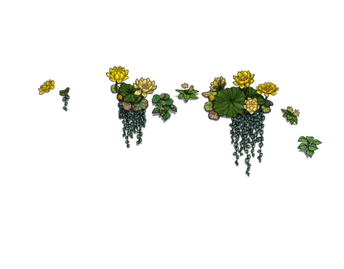 flowering yellow female.png