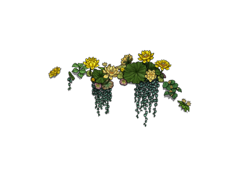 flowering yellow adol.png