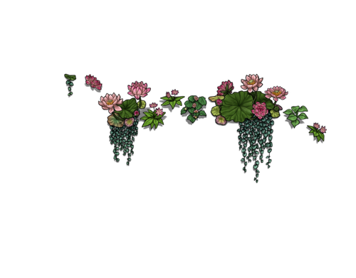 flowering pink male.png