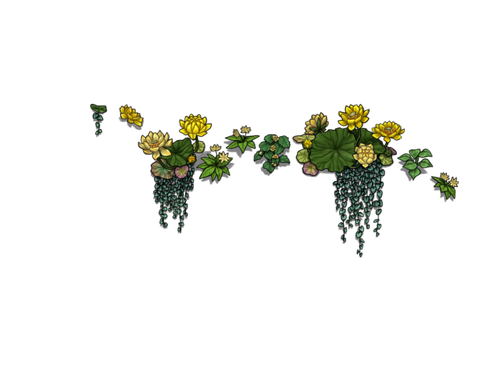 flowering yellow male.png