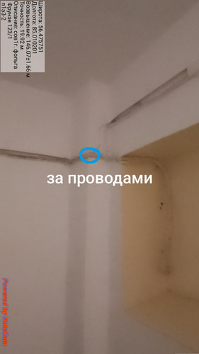 472.jpg