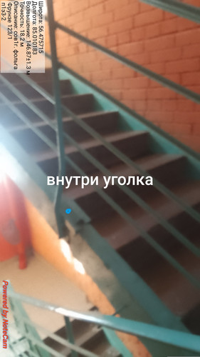 471.jpg