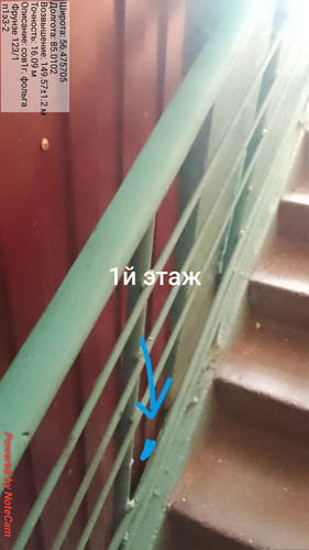 467.jpg