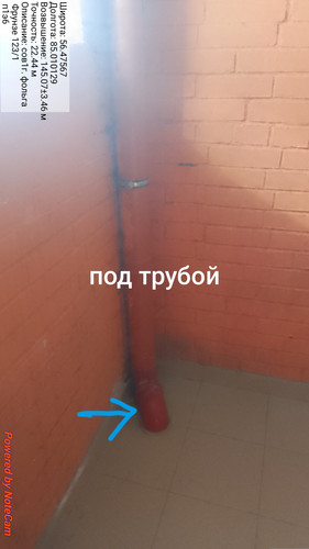 476.jpg