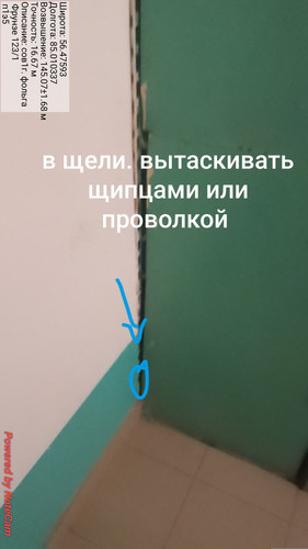 474.jpg