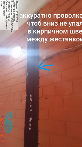 477.jpg
