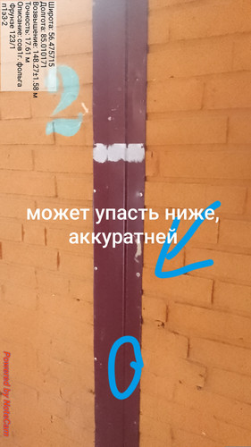 470.jpg