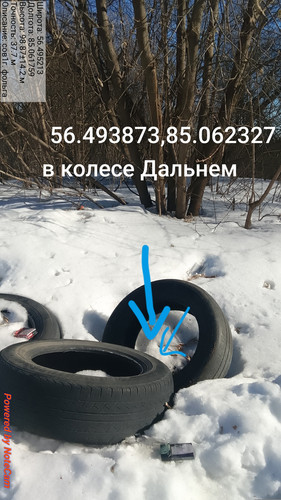 466.jpg