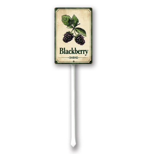 Blackberry 003.jpg