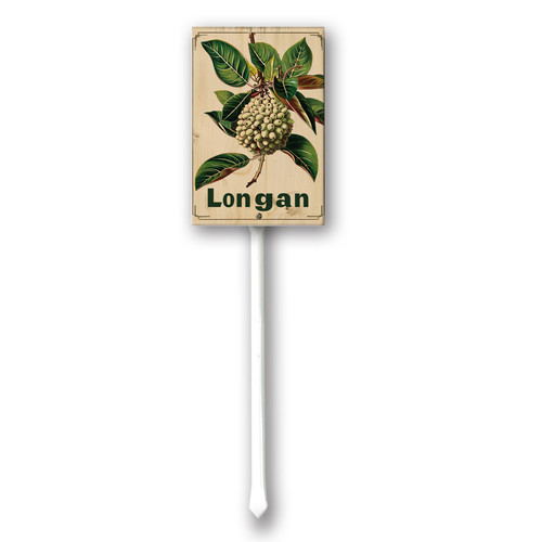 Longan 002.jpg