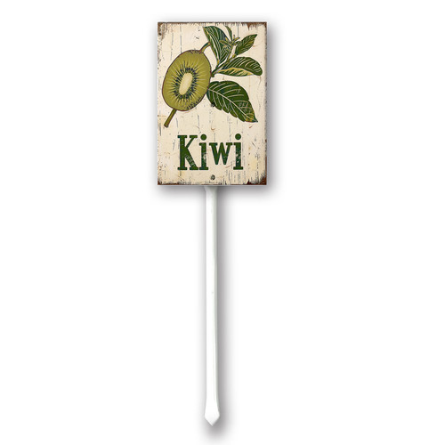 Kiwi 002.jpg