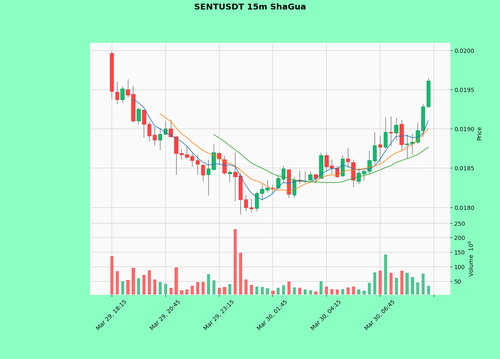 SENTUSDT.png