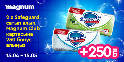 #3 Magnum Safeguard 750x375 kaz.jpg