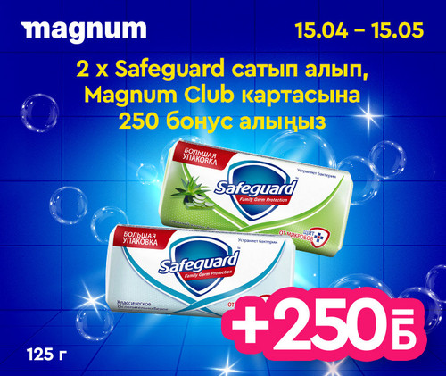#3 Magnum Safeguard 760x640 kaz.jpg