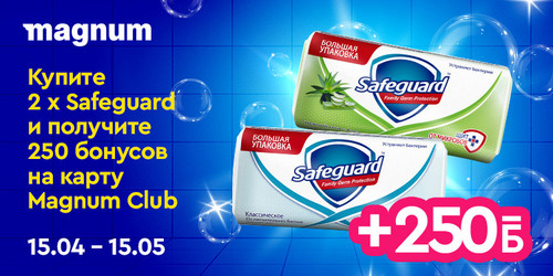 #3 Magnum Safeguard 750x375.jpg