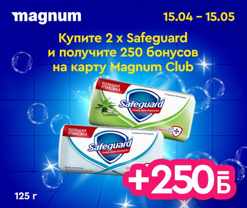 #3 Magnum Safeguard 760x640.jpg