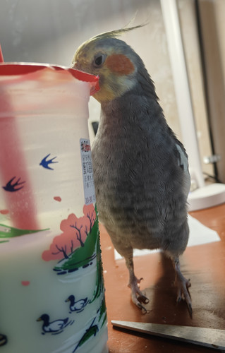 IMG 20260330 172945.jpg