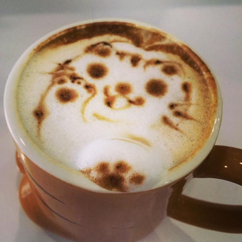 20141009 025800 t6nK9 s4dH 01.jpg