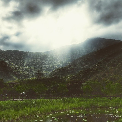 20150404 082903 1C9wo5s4aZ 01.jpg