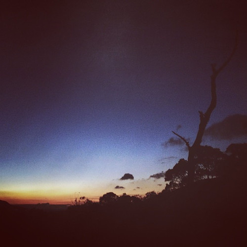 20140906 080817 smMctxs4Tr 01.jpg