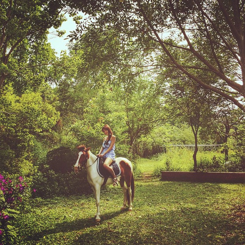 20150425 065159 143WEws4bW 01.jpg