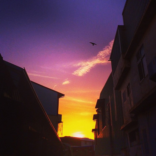 20150212 093613 y w55oM4Rl 01.jpg